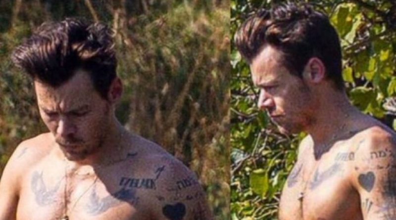 Harry Styles tra le bancarelle del mercato a Roma e poi mostra il fisico scolpito