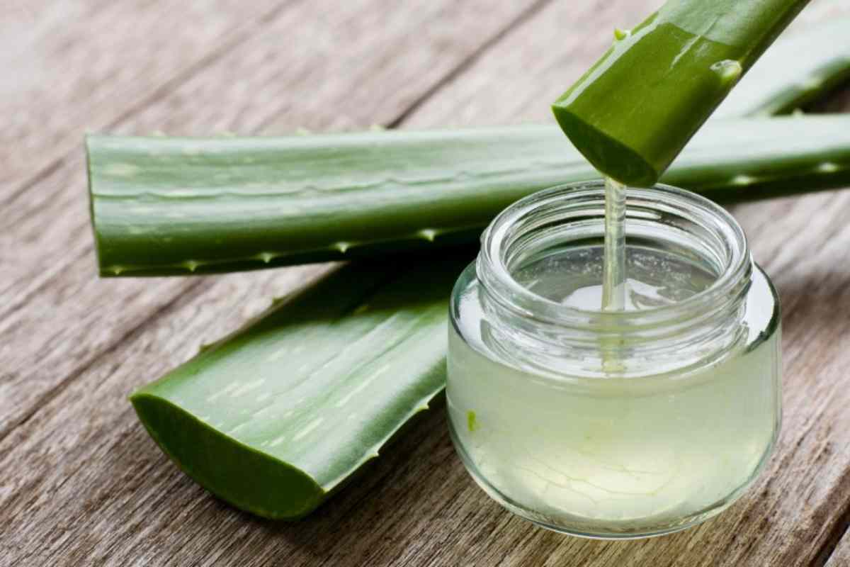 Aloe vera, crema viso
