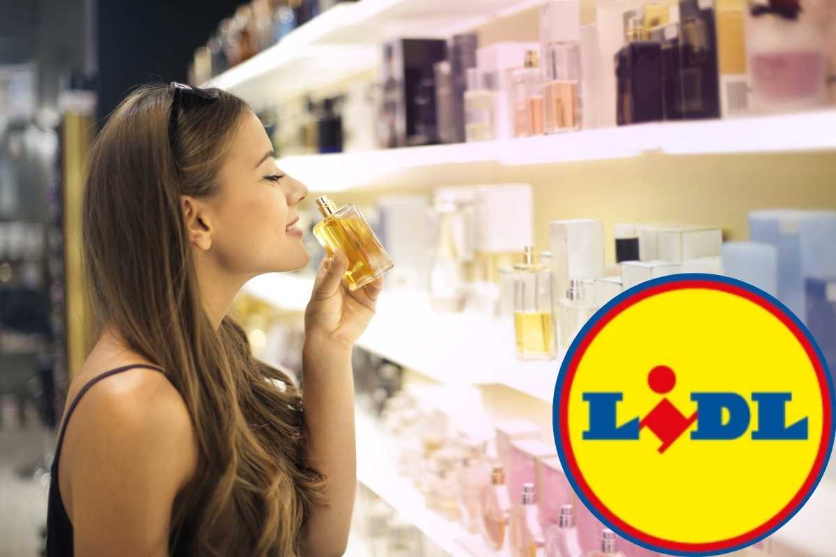 profumi lidl identici a quelli originali